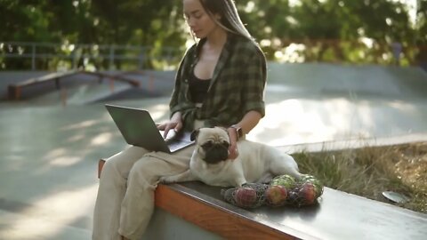 Dreadlocks girl sitting outdoors with her laptop computer and cute little pug is sitting near, she p