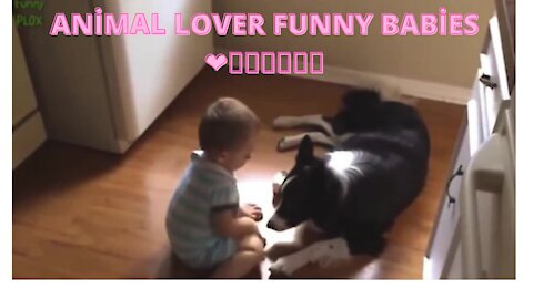 ANİMAL LOVER FUNNY BABİES ❤👶👶🐕‍🦺🐺🐶
