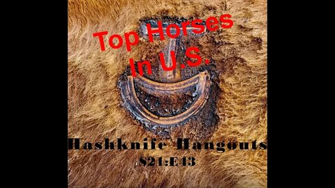 Top Horse Breeds in the U.S. (Hashknife Hangouts - S21:E43)