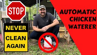 AUTOMATIC Chicken Waterer | Never Clean Again |