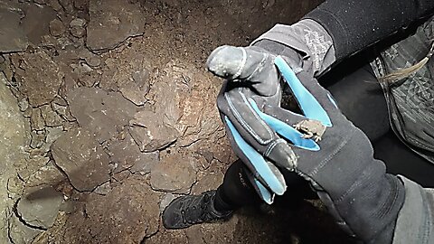 This Abandoned Mine is Filled with Tiny Frogs