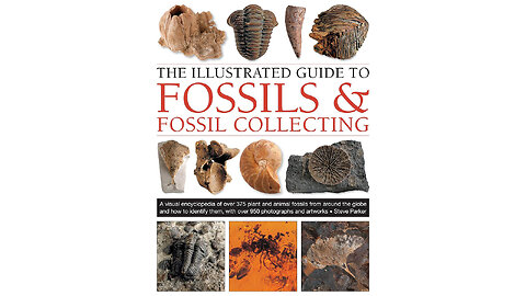 The Illustrated Guide to Fossils & Fossil Collecting