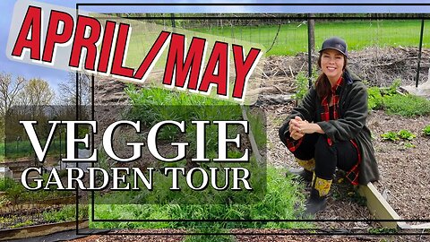 Spring Vegetable Garden Tour & Update