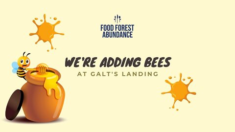 We’re adding bees and beehives in at Galt’s Landing!