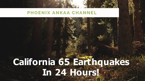 The Last 24 Hours in California: 65 Earthquakes!