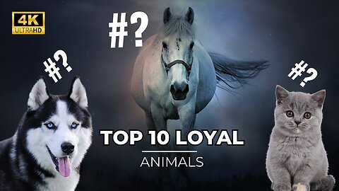 Top 10 Loyal Animals