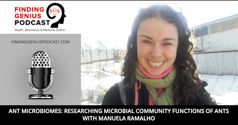 Ant Microbiomes: Researching Microbial Community Functions of Ants with Manuela Ramalho