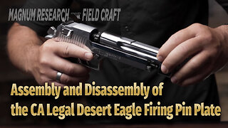 MR Field Craft: Assembly and Disassembly of the California Legal Desert Eagle Firing Pin Plate