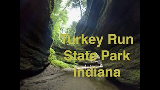 Turkey Run State Park Indiana