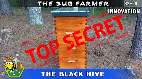 Hidden Compartment Beehive Tool Cabinet - Black hive with hidden features and secret compartment.