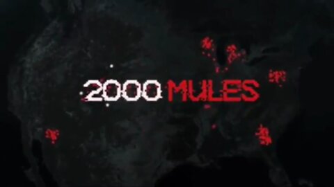 2000 Mules - True the Vote