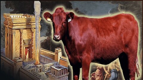 The Red Heifer & the coming Third Temple