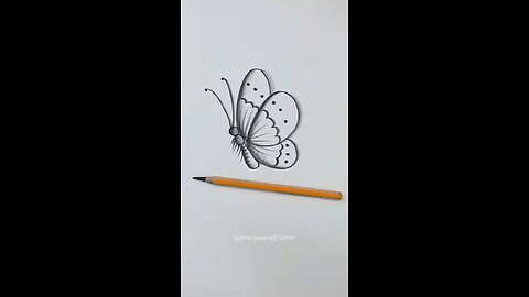 How to draw a butterfly sketch