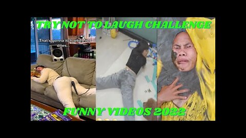 try not to laugh, Funny videos 2022