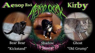 Aesop Rock - Kirby (Metal guitar cover)