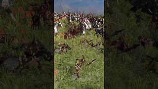 A Well Tossed Goblin Salad - Reiksguard in Melee