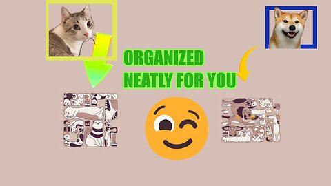 All Solutions | Cats (and Dogs) Organized Neatly