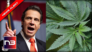 Andrew Cuomo Issues DISTRACTION from All of his Scandals by Signing Marijuana Bill