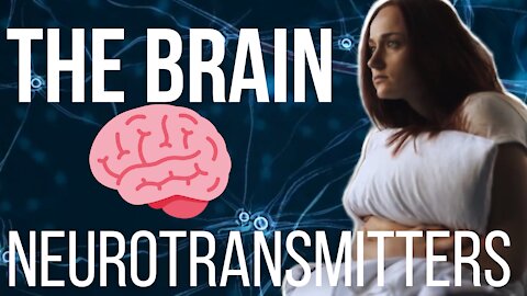 Neurotransmitters and The Brain