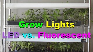 No. 958 – Grow Lights – LED vs. Fluorescent