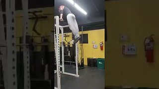 5 Muscle Ups After A Full Back/Bicep Training Day