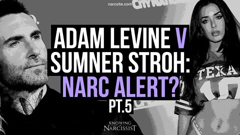 Adam Levine v Sumner Stroh : Narc Alert? Part 5