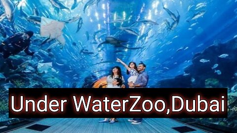 Under water Zoo, DUBAI MALL,World Biggest Aquairium,