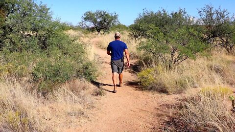 Tour of my Walking Trail