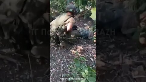 Ukraine troops captured in a forest