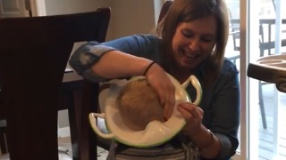 Toddler Head Stuck In A Toilet Seat