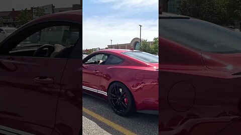 Shelby GT500 pulling out of car meet #car #shelby #shorts #mustang