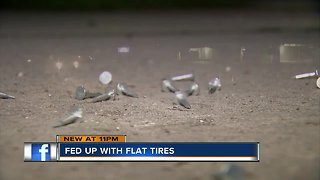 Neighbors fed up with nails left scattered along school cross walk in Hillsborough County