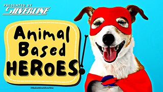 Animal Based Heroes