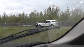 Ciclista utilizza un'auto come scudo contro l'alce
