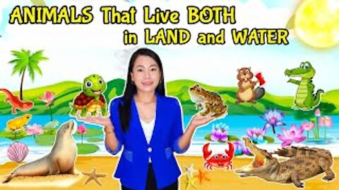 Animals live in both Land and Water