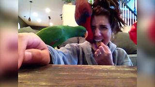 "Parrots Can't Resist Crackers"