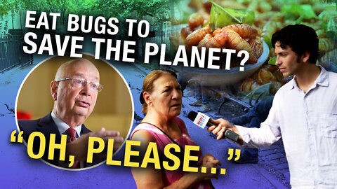 New Yorkers React to the Elite's Sustainable Bug Diet
