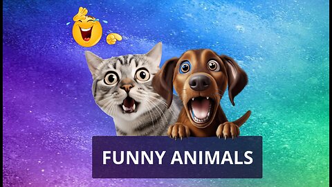 Funny animal videos, Cat And Dog Funny Moments, Animal Comedy #5