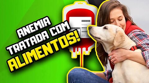 ANEMIA tratada COM ALIMENTOS: 5 Nutrientes OBRIGATÓRIOS para Cães com Anemia | Dr. Edgard Gomes