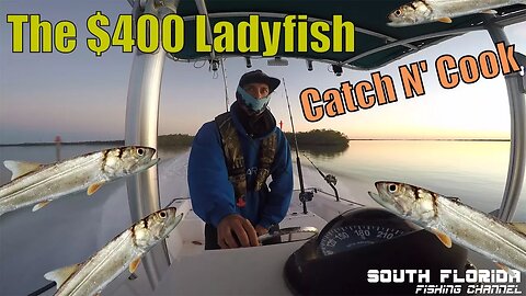 The $400 Ladyfish | Offshore Fishing Catch N Cook
