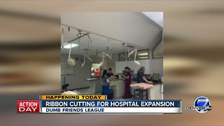 Dumb Friends League expanding its animal hospital