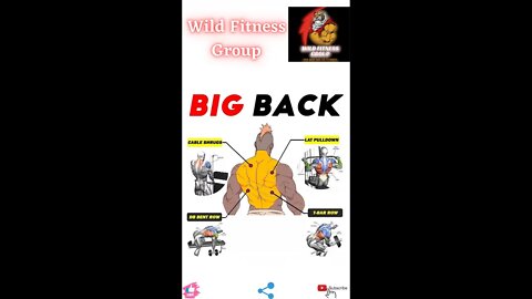 🔥Big back🔥#fitness🔥#wildfitnessgroup🔥#shorts🔥