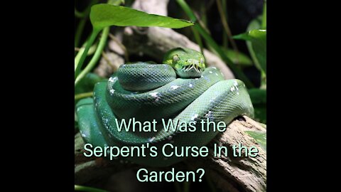 What Was the Serpent's Curse in the Garden?