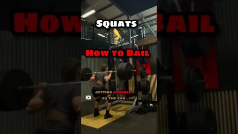 Most Important Squat Tip: Don't Miss This #gym #shorts