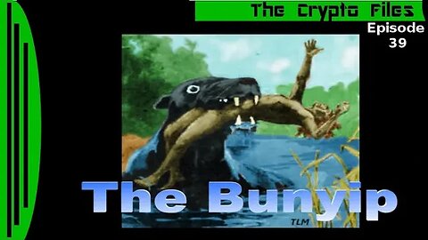The Crypto Files | The Bunyip | Ep39