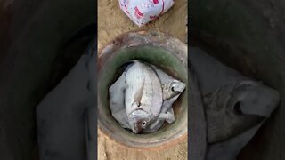 الحياة السعيدة 🐟🎣😍