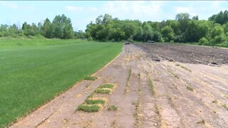 Farmers facing drought conditions