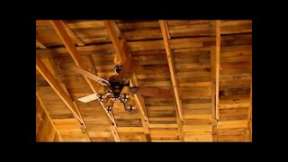 FREE Rustic Wood Ceiling! - Homemade Pallet Building Construction