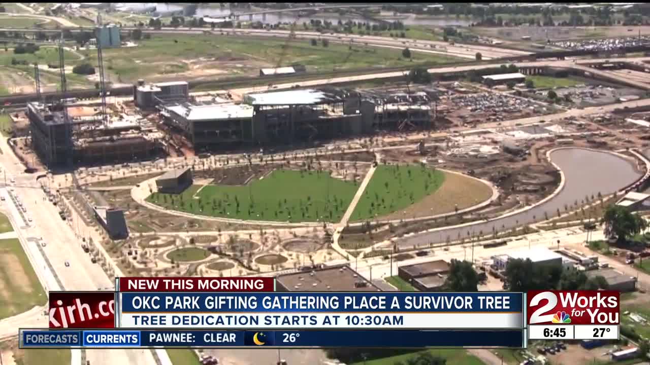 OKC park gifting Gathering Place a survivor tree
