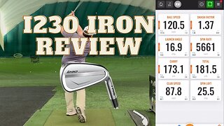 PING I230 IRON REVIEW